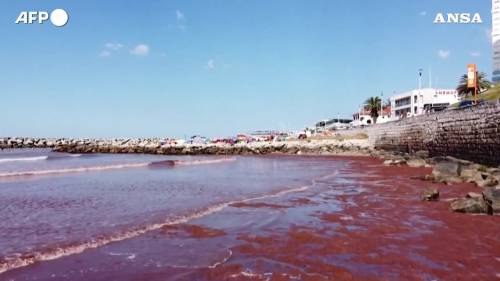 Argentina, "marea rossa" ricopre una spiaggia