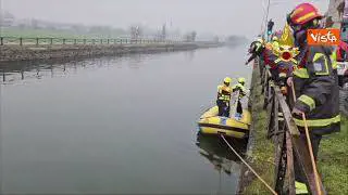 Un lupo nelle acque dei Navigli a Milano, il salvataggio dei Vigili del fuoco