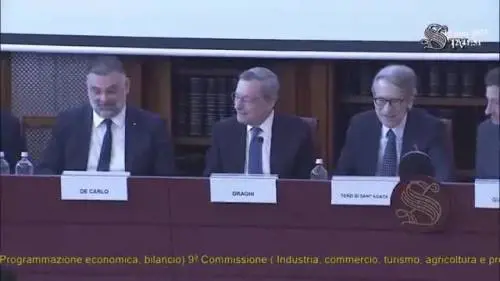 Mario Draghi sbotta in Senato: "Vedo che guardate l'orologio..."