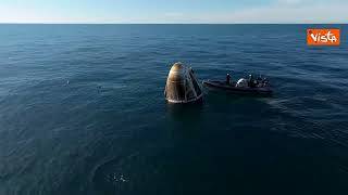 Delfini nuotano intorno alla capsula Space X subito dopo l'ammaraggio in Florida