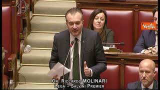 Molinari: La Lega dà piena fiducia a Giorgia Meloni in Ue