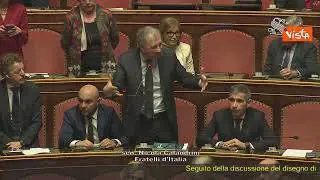 Fuorionda Ronzulli al Senato: "Non me ne frega un c... di quello che pensa Renzi"