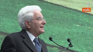 Mattarella: "Senza euro i Paesi Ue sarebbero stati travolti dalla crisi finanziaria"