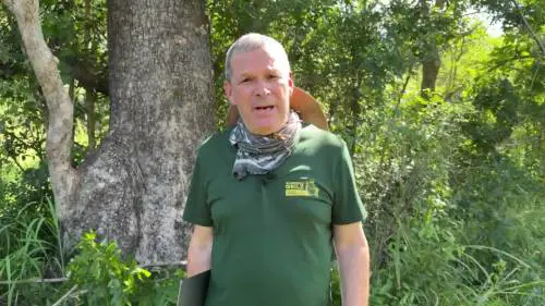 Missione Mozambico, Fausto Biloslavo raggiunge l'albero sotto a cui riposa Almerigo Grilz