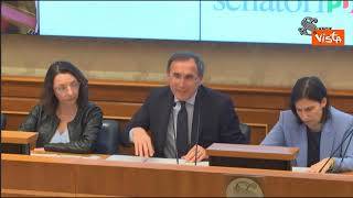 Boccia (Pd): "Meloni fallisce sulla sanità, tentano di privatizzarla"