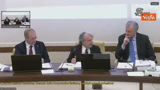 Brunetta (Cnel): "I dazi sono risposta sbagliata a uno squilibrio esistente nell'economia Usa"