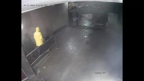 Il furto della ruota della carrozzina a un disabile. I ladri in azione: il video