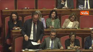 Boccia (Pd) in Aula cita il Presidente Mattarella: "Salari insufficienti"