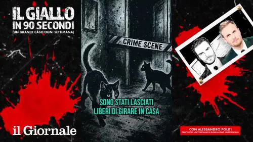 Delitto di Garlasco: i 10 errori choc mai chiariti