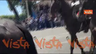 La mascotte dei carabinieri Briciola insieme a Corazzieri a cavallo alla parata del 2 Giugno