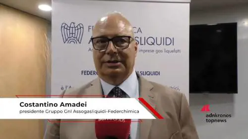 Industria, Amadei (Assogasliquidi-Federchimica): "Promuoviamo principio neutralità tecnologica"