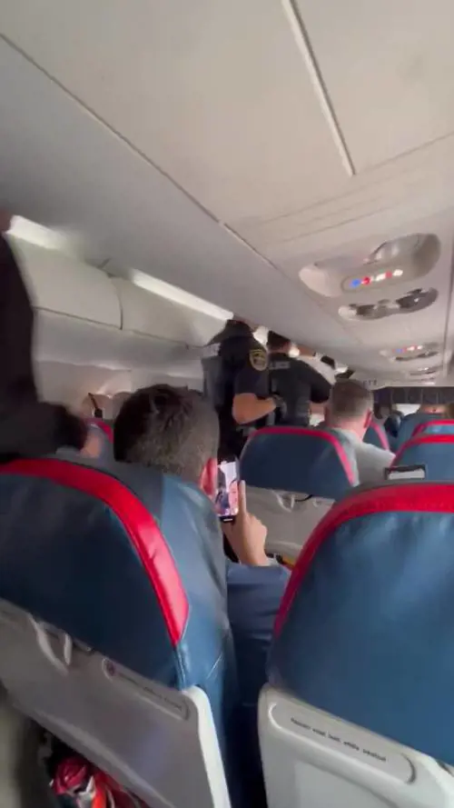 Paura su un volo diretto a Detroit: il passeggero viene portato via dalla polizia