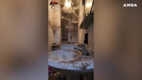 Animali mal tenuti in casa: blitz dei carabinieri a Torino 
