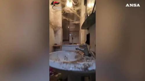 Animali mal tenuti in casa: blitz dei carabinieri a Torino 