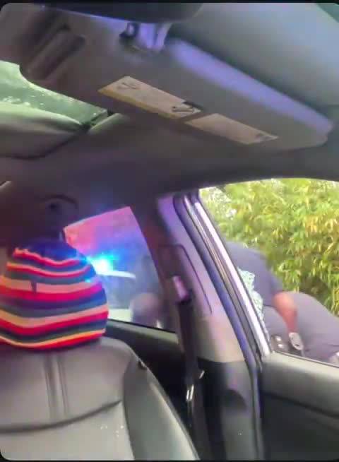L'aggressione della polizia americana contro un afromericano
