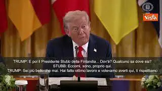 Trump: Dov'è il Presidente della Finlandia?, Stubb: Sono qui. Il tycoon: Sei più bello che mai
