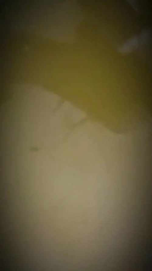 Palestinesi legati e massacrati da Hamas