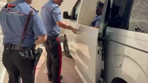 I carabinieri scoprono 2mila uccelli detenuti illegalmente in un'auto