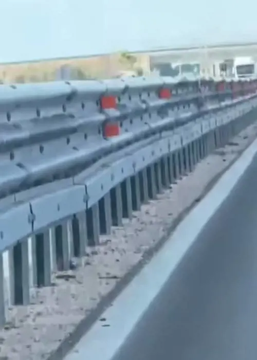 Proprietario in ginocchio e rapinatori armati in fuga: il video dell'incursione a Cerignola