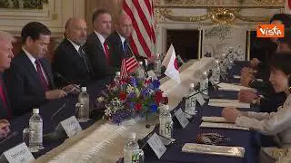 Premier Giappone dona a Trump 250 ciliegi e fuochi d'artificio per anniversario fondazione Usa