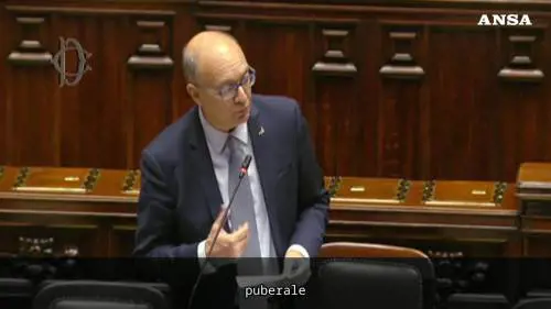 Bagarre in aula dopo le parole di Valditara: il video