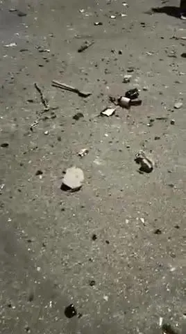 Genova, piazza Alimonda dopo gli scontri tra polizia e antifa