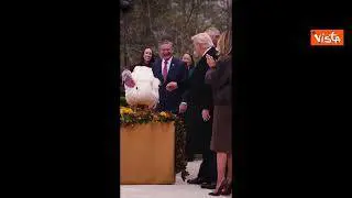 La carezza di Trump al tacchino Waddle durante la cerimonia di grazia alla Casa Bianca