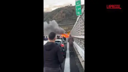 Auto bruciate e chiodi sull'asfalto: le immagini dell'assalto a un portavalori in Calabria 