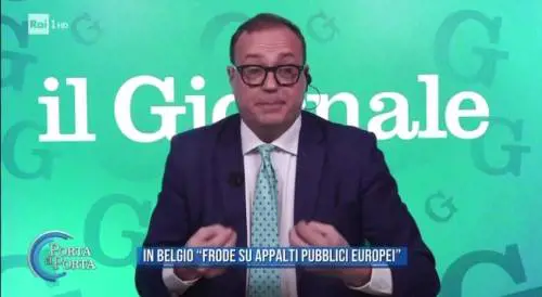 Cerno a Porta a Porta: "L'Ue ci dica cosa fa coi nostri soldi"