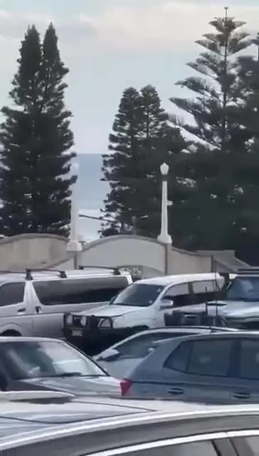 I due uomini che hanno aperto il fuoco sulla folla a Sydney