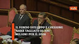 Manovra 2026 in discussione in Parlamento, ecco cosa prevede INFOGRAFICA