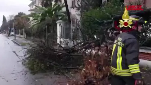 Pioggia e vento, vigili del fuoco al lavoro nel Forlivese