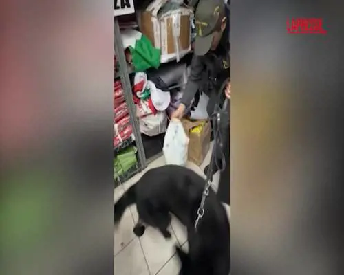 Terrorismo, sacco pieno di soldi trovato durante le perquisizioni