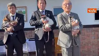 Un nuovo gatto-capostazione per la linea ferroviaria Kishigawa in Giappone