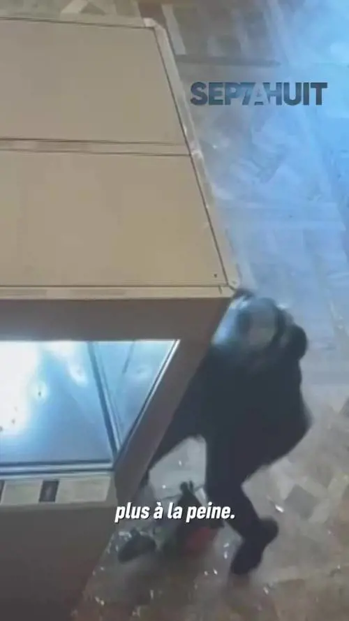 La smerigliatrice, i pugni alla teca e il furto: così i ladri hanno saccheggiato le vetrine del Louvre