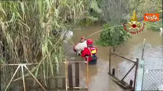 Maltempo nel Cagliaritano, il salvataggio di nove cani dall'esondazione del Rio Piscinas