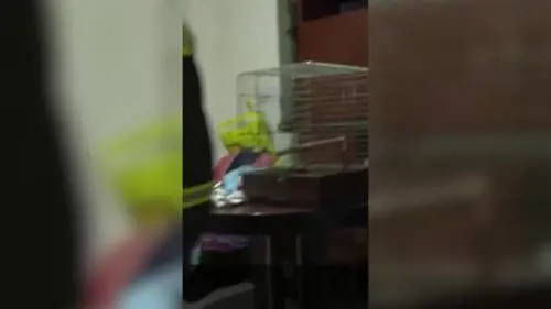 L’Italia degli sfollati