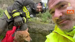 Anas e Vigili del Fuoco salvano il cane Giorgio sulla SS 19 a Tiriolo (CZ)