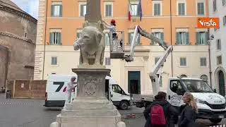 Operazioni in corso per riparare la zanna dell'elefante della Minerva a Roma