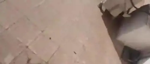 Il video dei colpi vicino a Khamenei