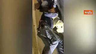 Cane incastrato sotto un'auto, il salvataggio della Polizia a Pescara