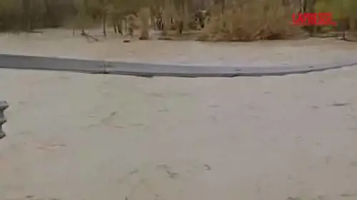 Maltempo, crolla il ponte sul Trigno tra Abruzzo e Molise - VIDEO