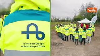 Autostrade estende la forestazione lungo la sua rete con 60 ettari di nuove aree verdi nel 2024-2025