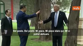 Trump visita i giardini di Zhongnanhai con Xi Jinping: Bel posto mi ci potrei abituare
