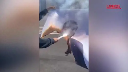 Studenti in piazza a La Sapienza: bruciata l'immagine di Salvini - VIDEO