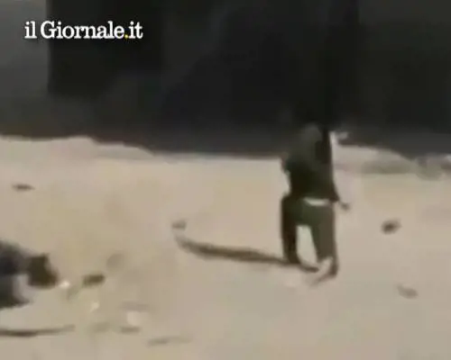 Siria, i ribelli marciano verso Damasco