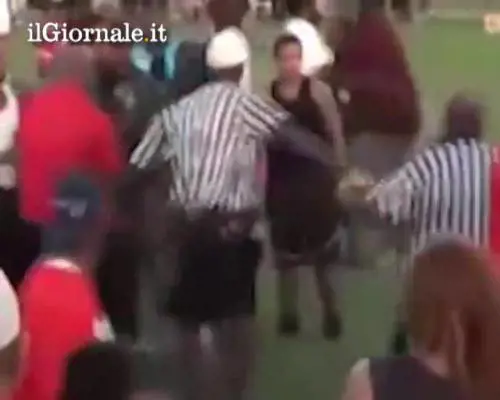 Baseball, allenatore picchia l'arbitro