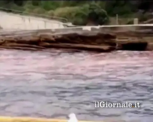Australia: il mare si tinge di rosso