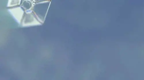 "Frozen Planet": i documentari tra i ghiacci