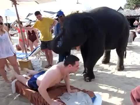 L'elefante- massaggiatore